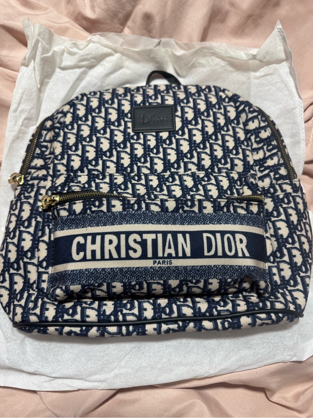 Navy and White Logo Canvas Mini-Backpack with CD Front Pocket